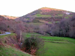 DSCN1246