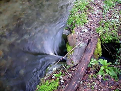 DSCN1240