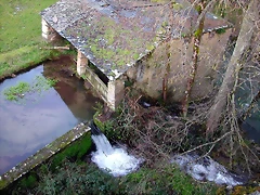 DSCN1219 DSCN1219