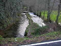 DSCN1237 DSCN1237