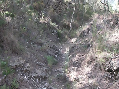 PICT0019