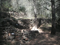 PICT0022