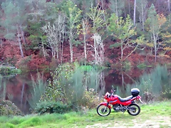 IMG_8758 IMG_8758