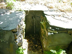 DSCN2121 DSCN2121