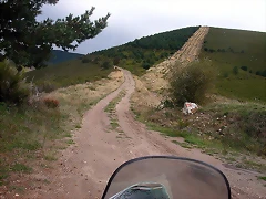 Campa abedul II Campa abedul II