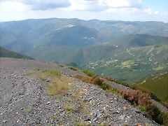 DSCN2272 DSCN2272