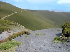 DSCN2274 DSCN2274