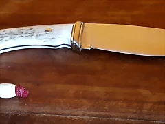 20180411_111009