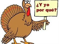pavo