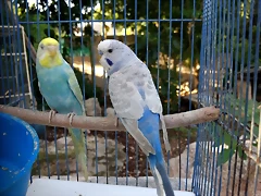 IMG_20180815_074844782