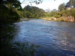 DSCN2315 DSCN2315