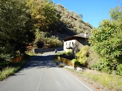 DSCN7694 DSCN7694