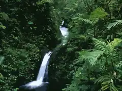 catarata