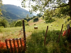 DSCN2412 DSCN2412