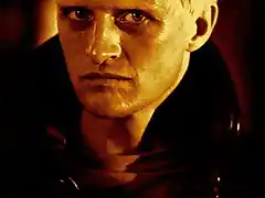 hauer1