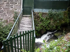 DSCN2707 DSCN2707