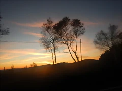 DSCN9382 DSCN9382