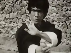 Bruce-Lee