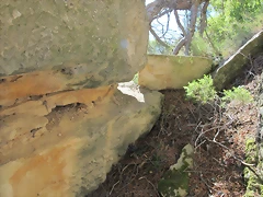 IMG_1758 IMG_1758