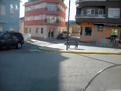 DSCN6880 DSCN6880