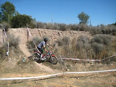 IMG_2493 IMG_2493