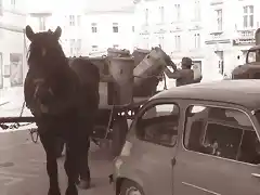 Kranj - Ein mit M?lltonnen beladener Pferdewagen, 1962