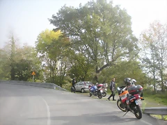 DSCN9953 DSCN9953