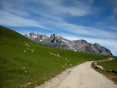 DSCN8143 DSCN8143