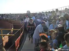 Ambiente en la grada de la Plaza de Toros (4)