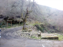 DSCN2943 DSCN2943