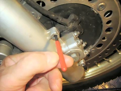 IMG_1287 IMG_1287