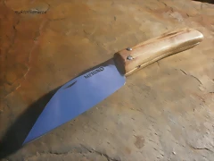 P7010002