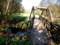 DSCN1029