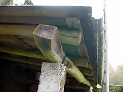 DSCN7326
