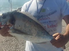 dorada3kg