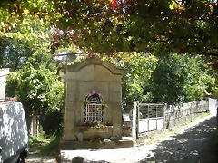 DSCN7826 DSCN7826