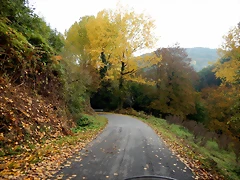 DSCN9848 DSCN9848