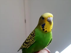 20181008_123357 20181008_123357
