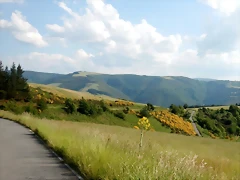 DSCN2390 DSCN2390