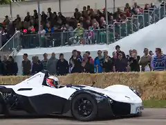 Bac_mono_(7493933248)