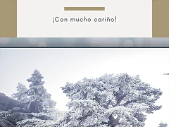 Dorado Navidad Personal Tu Historia Dorado Navidad Personal Tu Historia