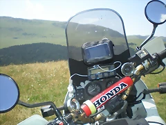P8110017 P8110017