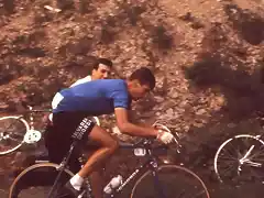 GIMONDI,1