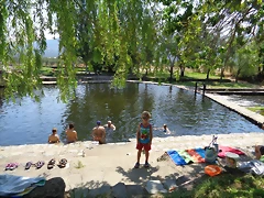 DSC01294 DSC01294