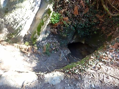 DSCN3040 DSCN3040