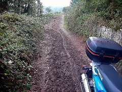 DSCN5373 DSCN5373