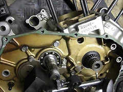 IMG_0161 IMG_0161