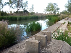DSCN8043 DSCN8043