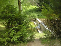DSCN5341 DSCN5341