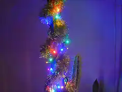 Cactus - Navidad